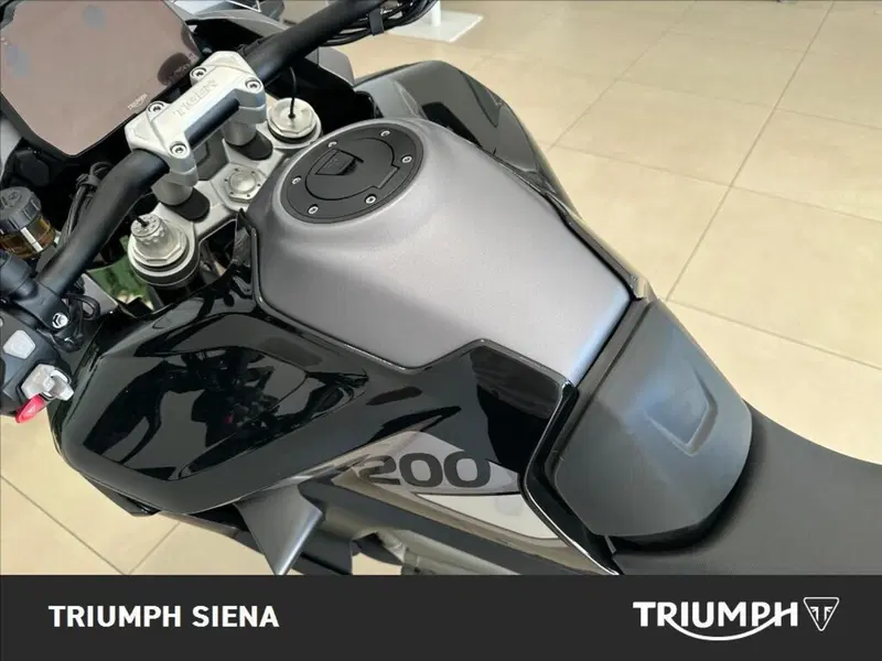 Triumph Tiger 1200 GT Pro (2024 - 26) (9)