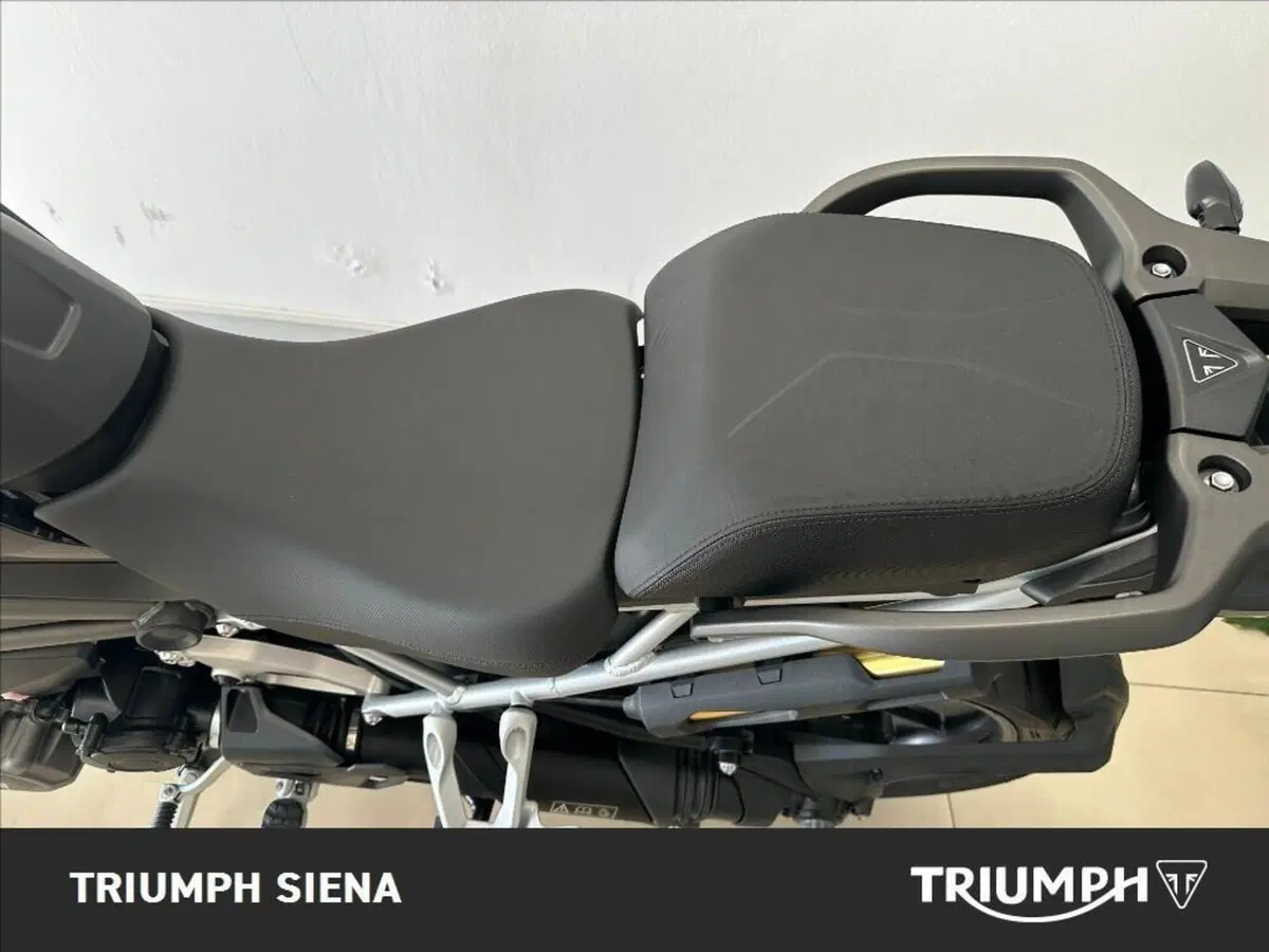 Triumph Tiger 1200 GT Pro (2024 - 26) (16)