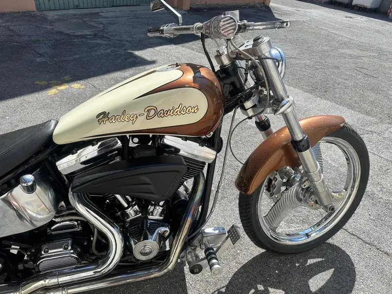 Harley-Davidson 1340 Custom (1989 - 98) (3)