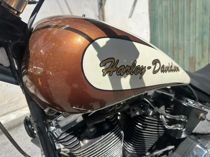Harley-Davidson 1340 Custom (1989 - 98) (7)