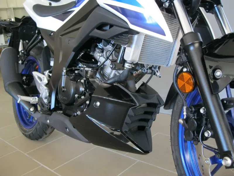 Suzuki GSX-S125 (2025 - 26) (7)