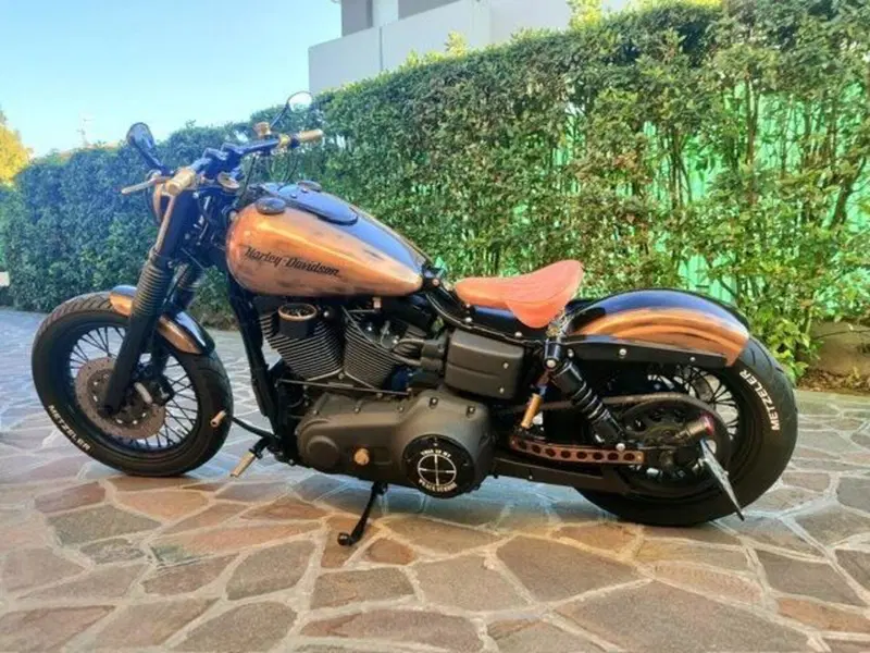 Harley-Davidson 1584 Street Bob (2008 - 15) - FXDB (11)