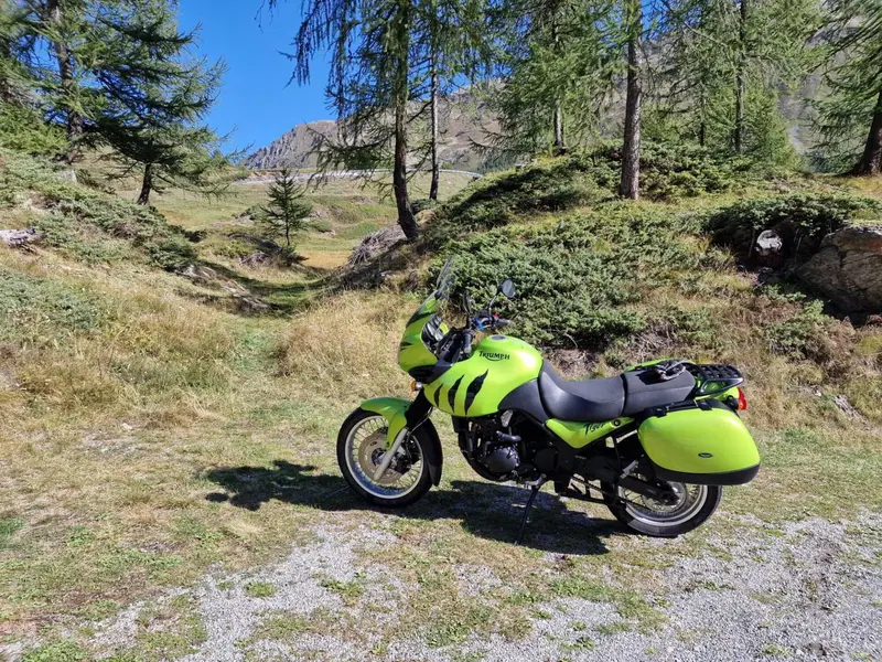Triumph Tiger 955 (2002 - 06) (8)