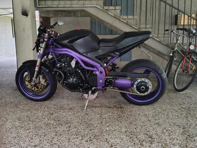 Triumph Speed Triple 955 (1998 - 01) (2)