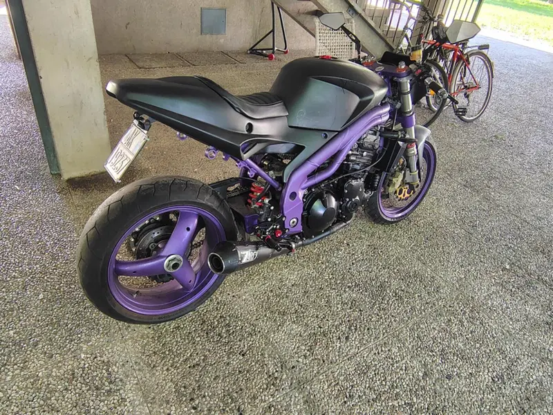 Triumph Speed Triple 955 (1998 - 01) (6)
