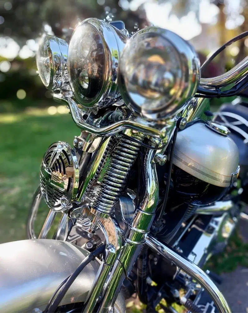 Harley-Davidson 1450 Heritage Springer (2000 - 03) - FLSTS (5)
