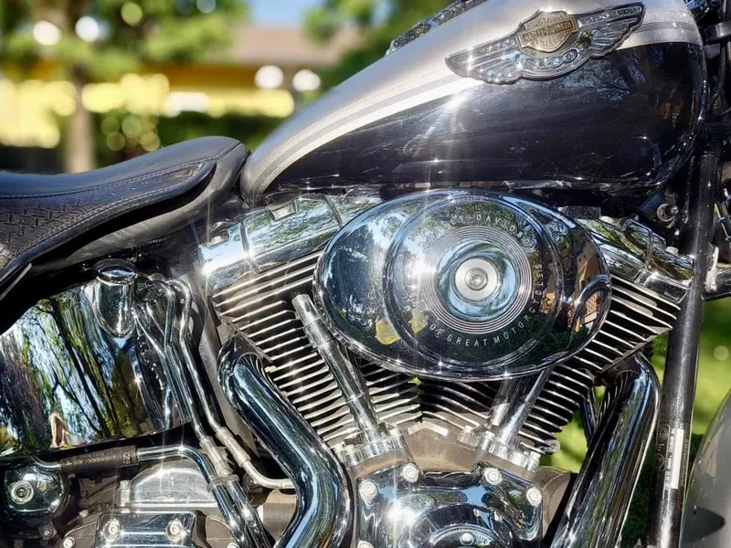 Harley-Davidson 1450 Heritage Springer (2000 - 03) - FLSTS (6)