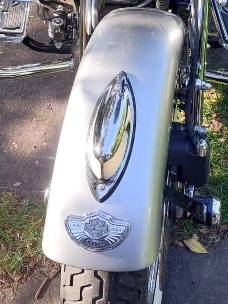 Harley-Davidson 1450 Heritage Springer (2000 - 03) - FLSTS (8)