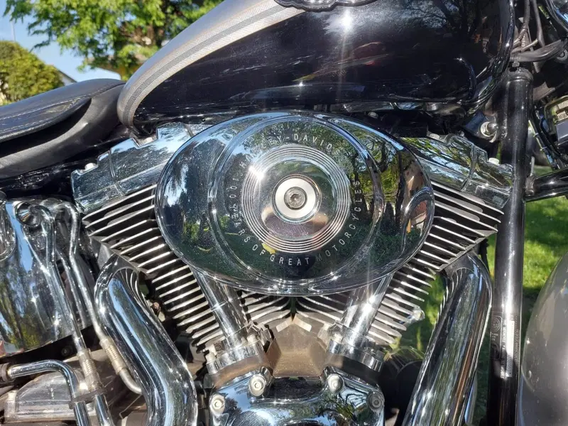 Harley-Davidson 1450 Heritage Springer (2000 - 03) - FLSTS (10)
