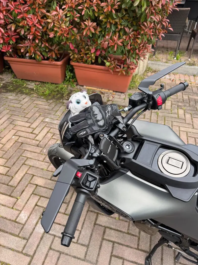Husqvarna Svartpilen 125 (2024 - 26) (8)