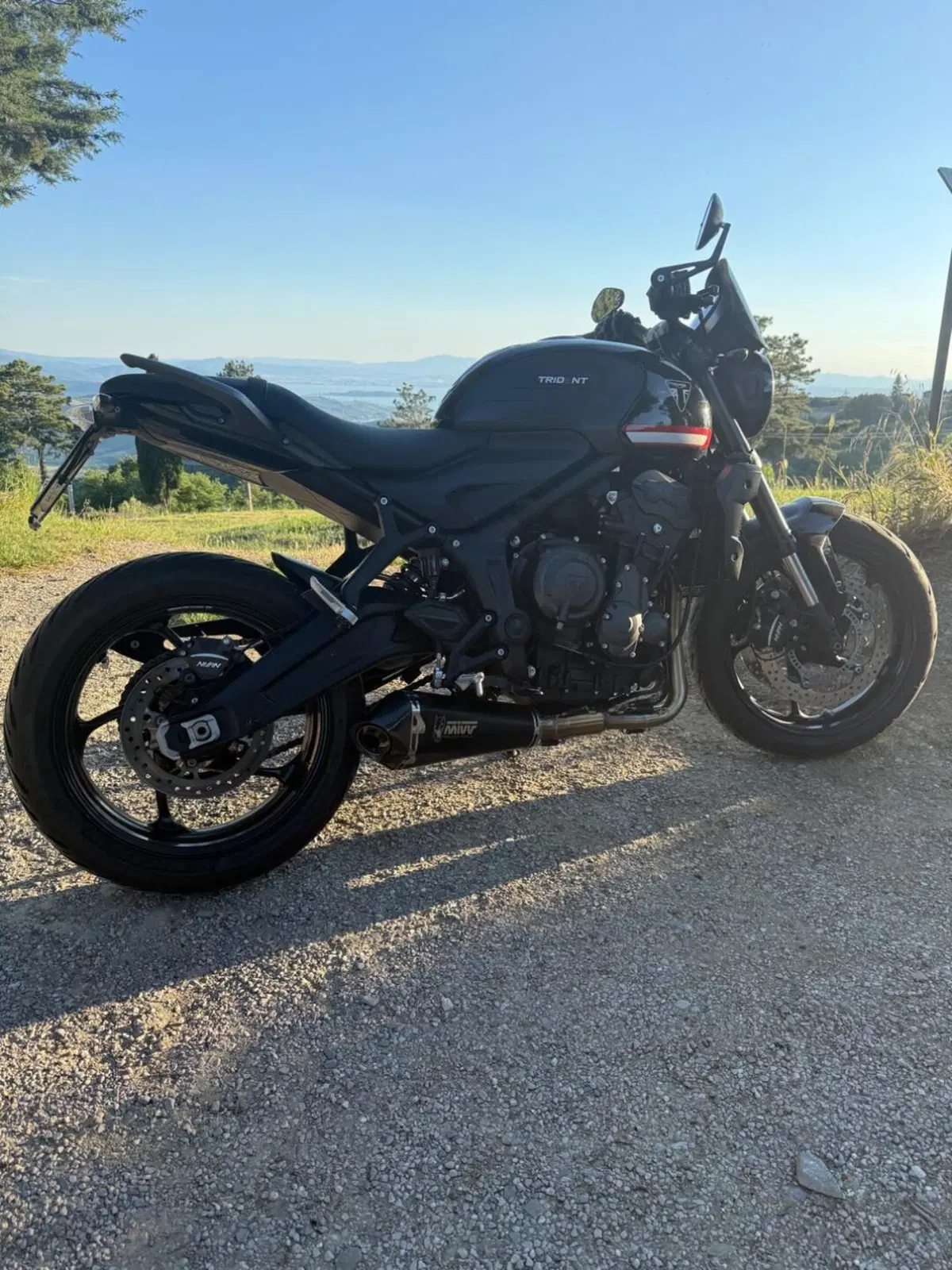 Triumph Trident 660 (2021 - 24)