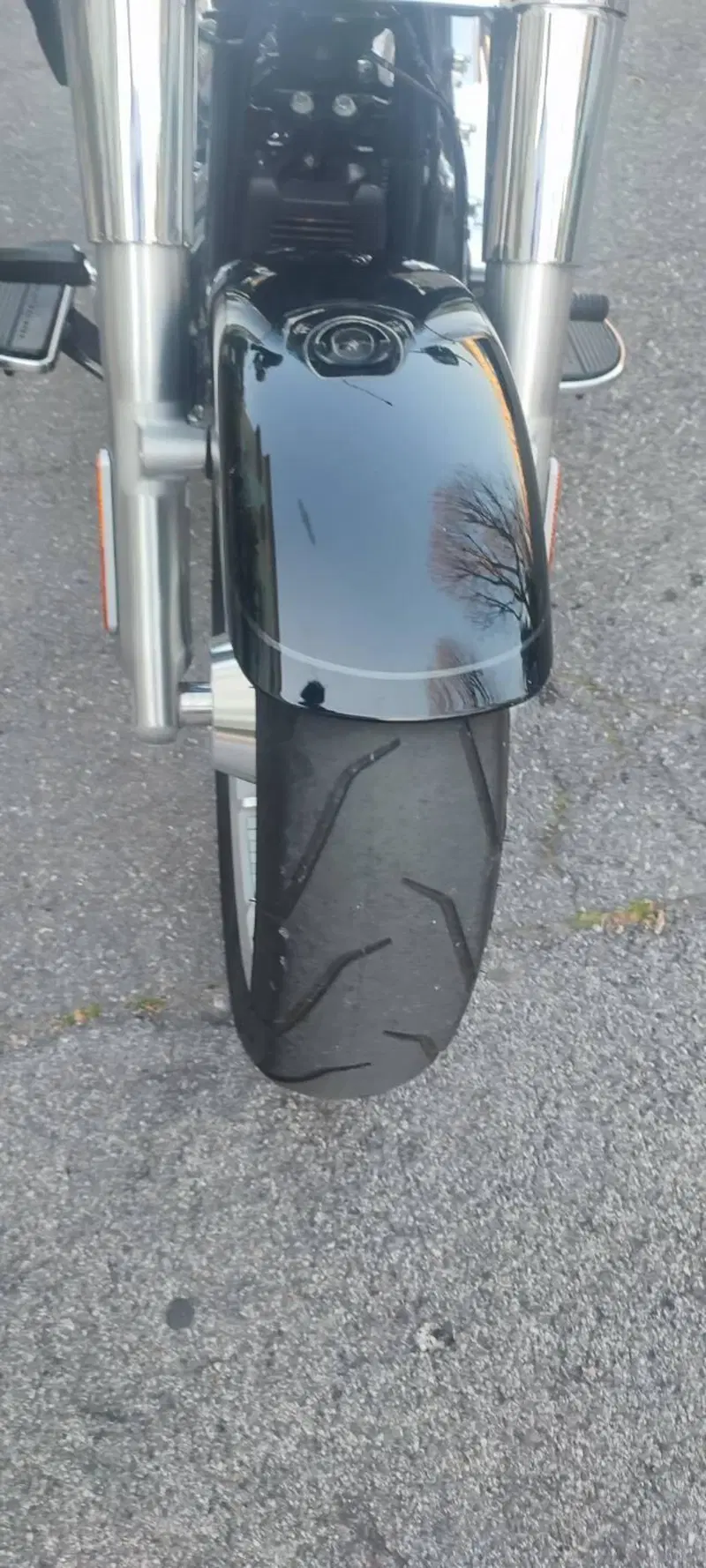 Harley-Davidson Fat Boy 117 (2025 - 26) (6)
