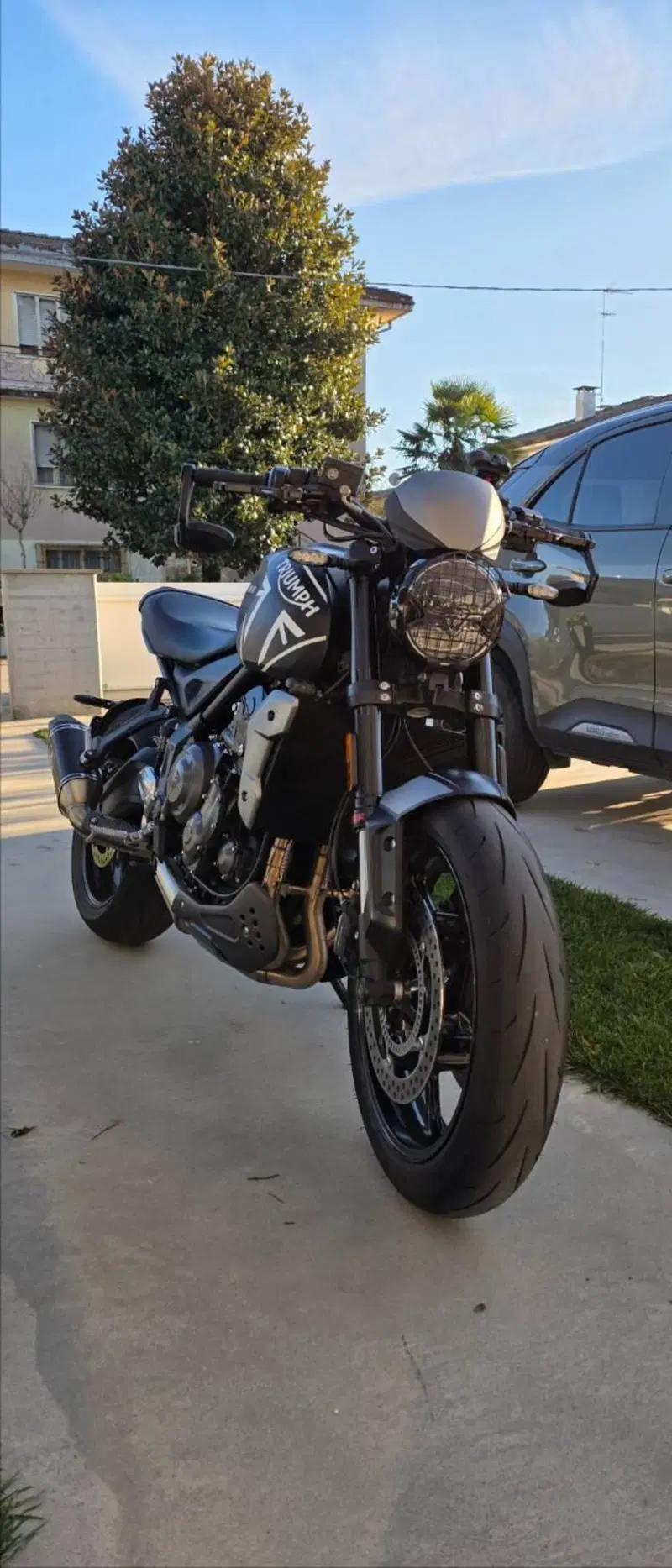 Triumph Trident 660 (2021 - 24) (2)