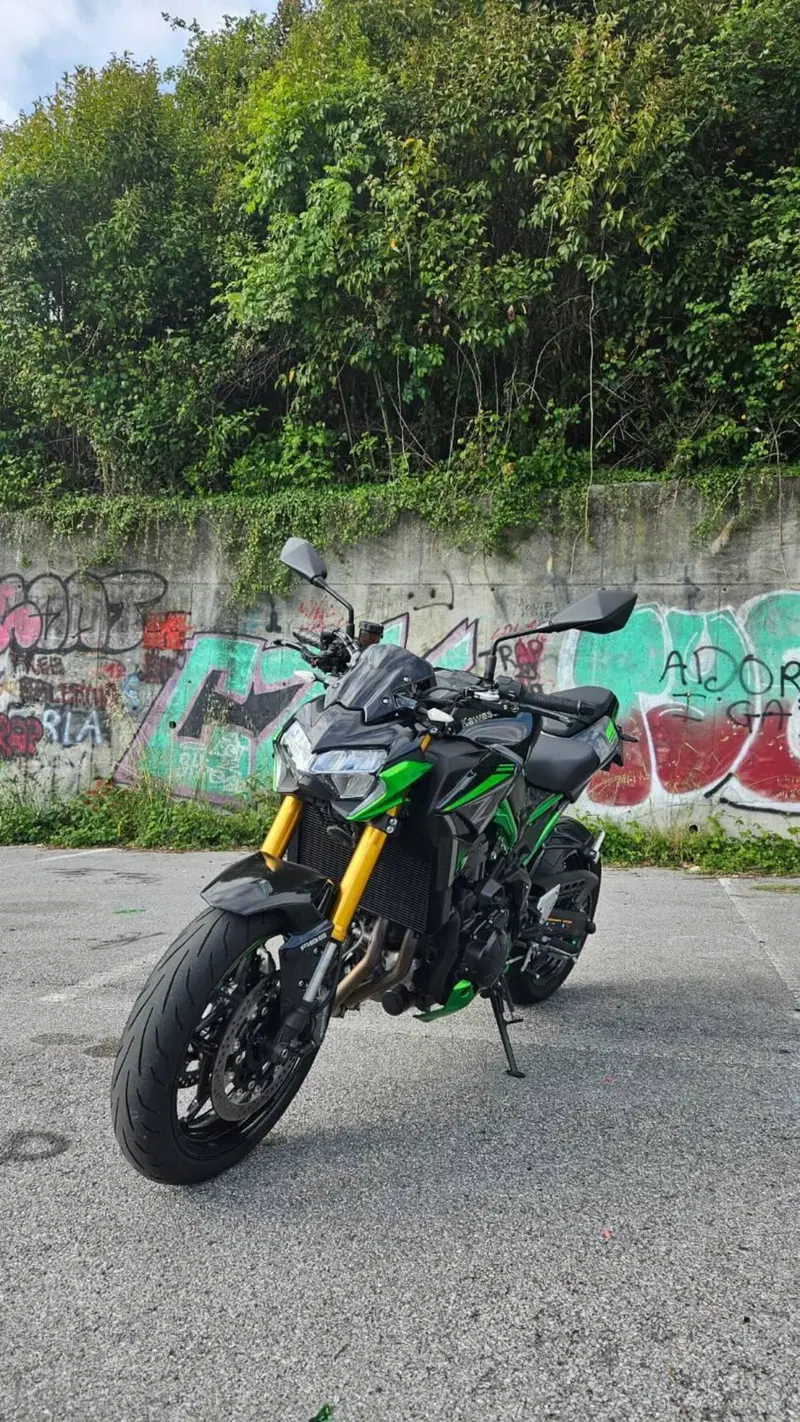 Kawasaki Z 900 SE (2022 - 24) (2)