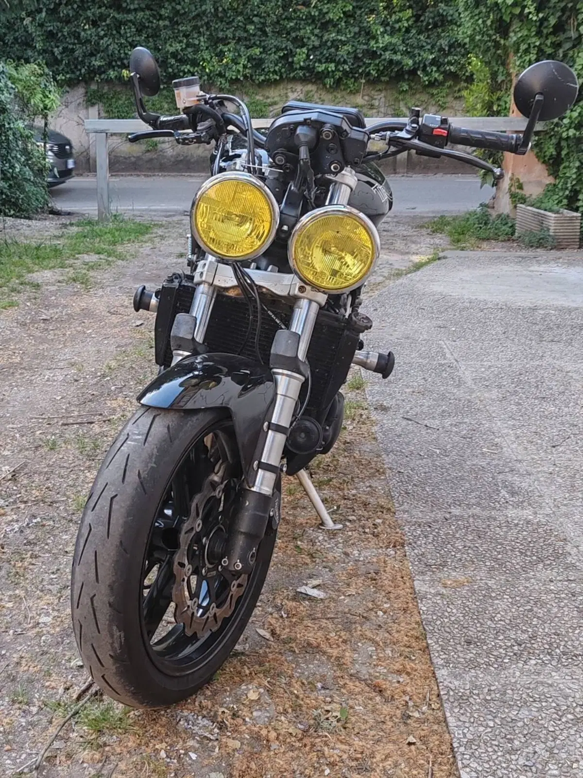 Triumph Speed Triple 955 (2002 - 04)