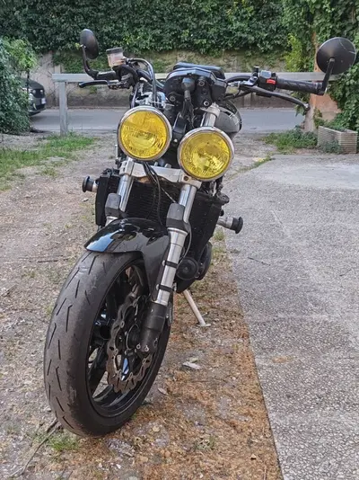 Triumph Speed Triple 955 (2002 - 04) usata