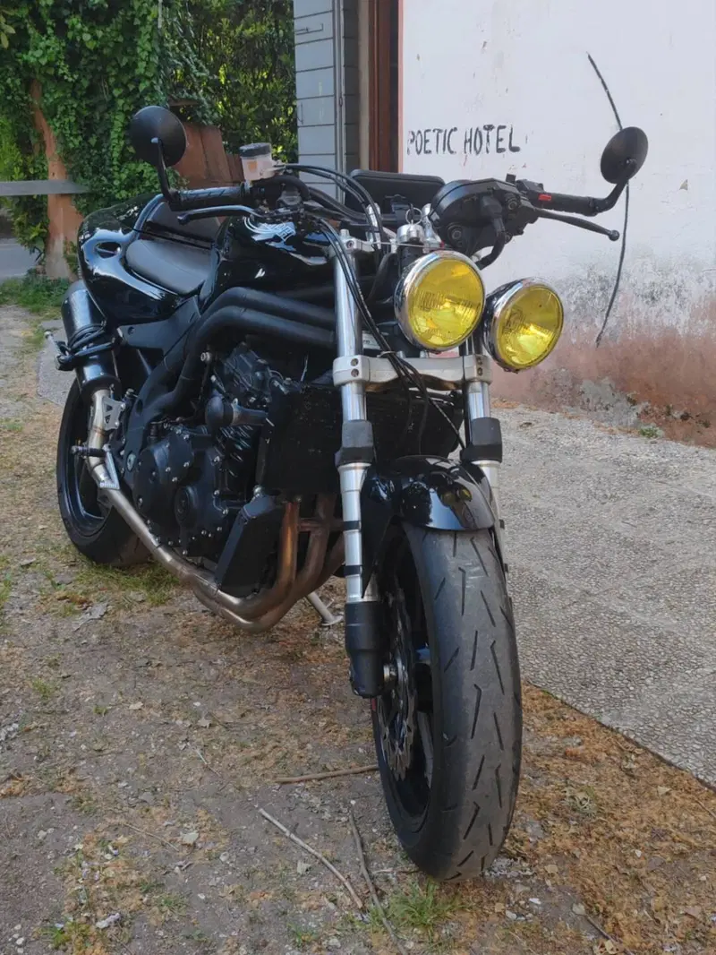 Triumph Speed Triple 955 (2002 - 04) (2)