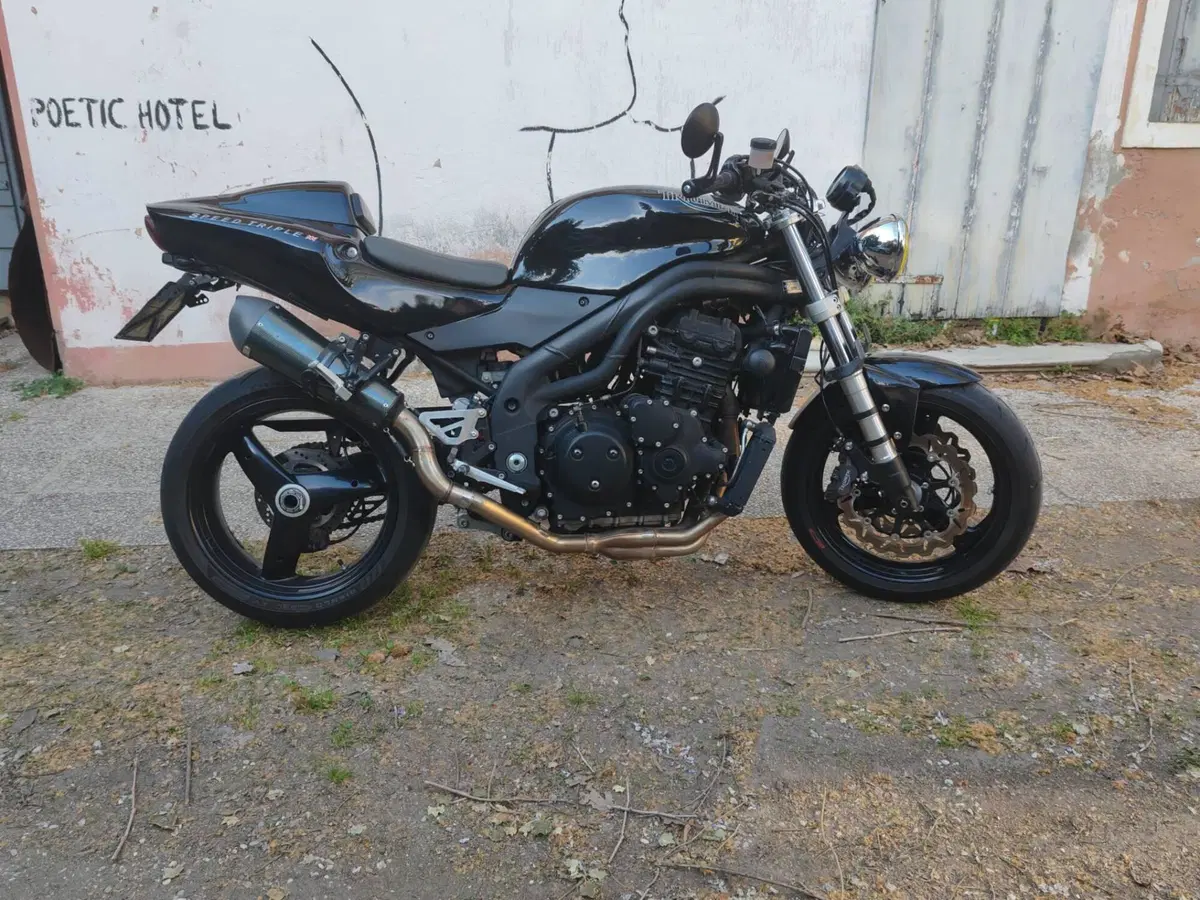 Triumph Speed Triple 955 (2002 - 04) (3)