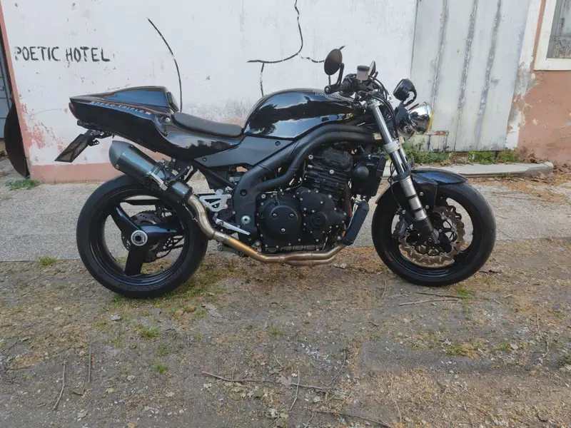Triumph Speed Triple 955 (2002 - 04) (3)
