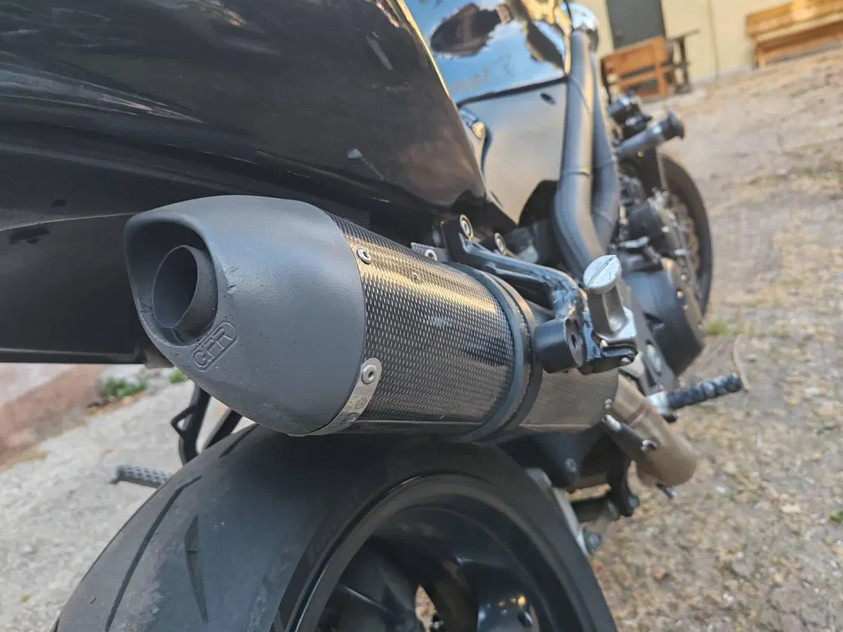 Triumph Speed Triple 955 (2002 - 04) (5)