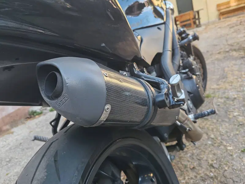 Triumph Speed Triple 955 (2002 - 04) (5)