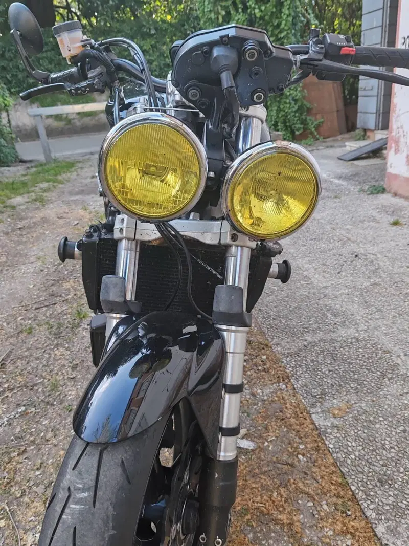 Triumph Speed Triple 955 (2002 - 04) (8)