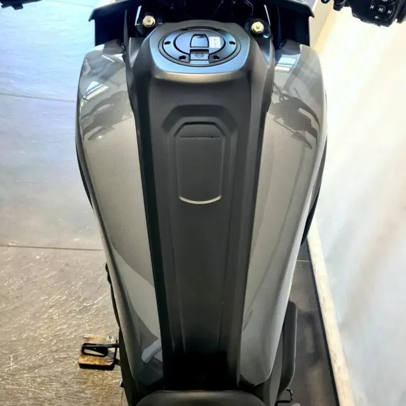 Harley-Davidson Pan America 1250 (2020 - 25) (6)
