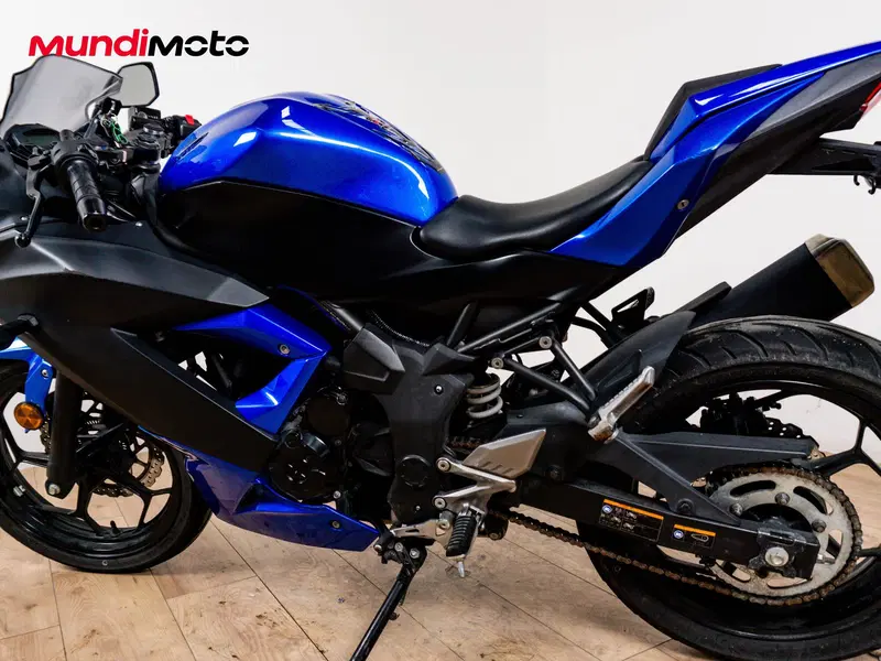 Kawasaki Ninja 300 ABS (2012 - 16) (9)