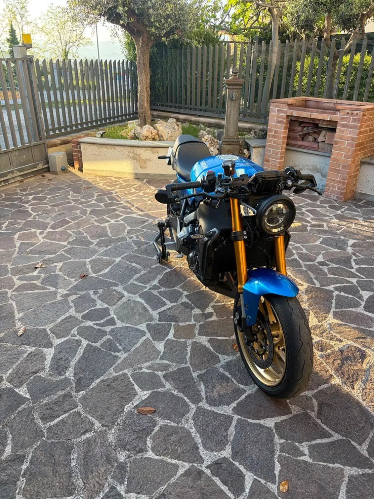 Yamaha XSR 900 (2022 - 24) (8)