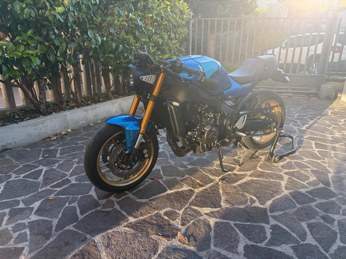 Yamaha XSR 900 (2022 - 24) (9)