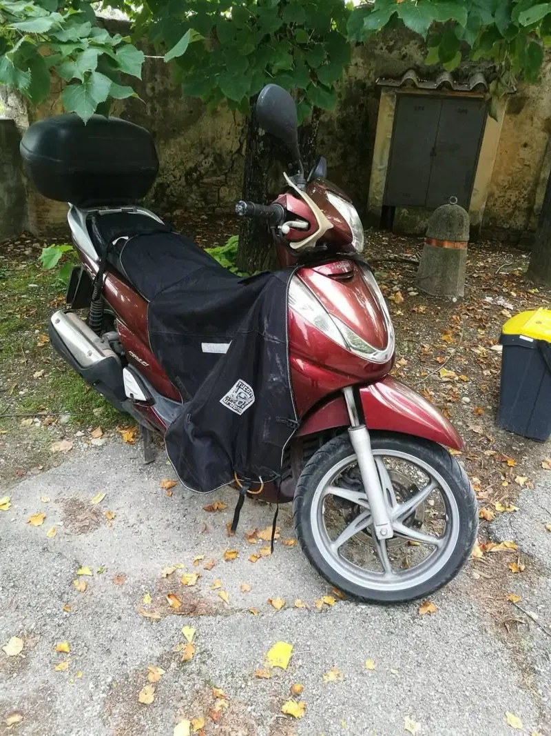Honda SH 300 i (2006 - 10) (2)