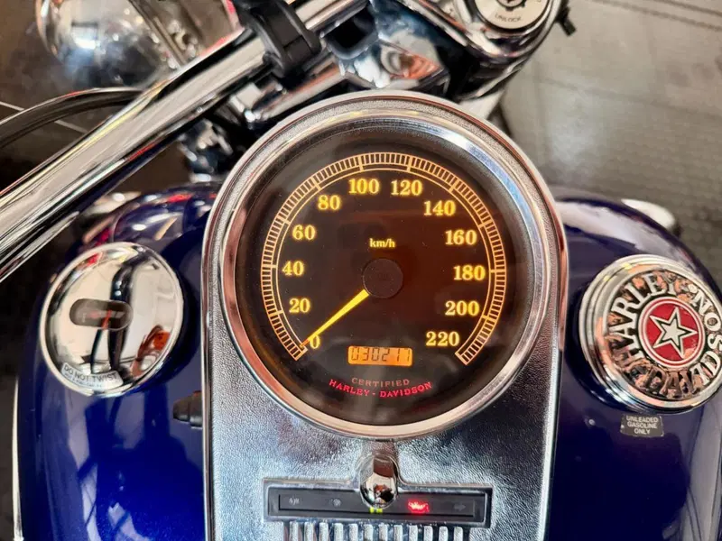 Harley-Davidson 1450 Road King Classic (1999 - 02) - FLHRCI (5)