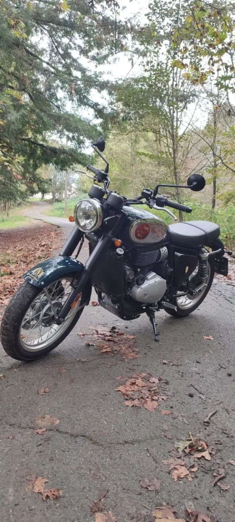 Bsa Gold Star 650 (2024 - 26) (4)