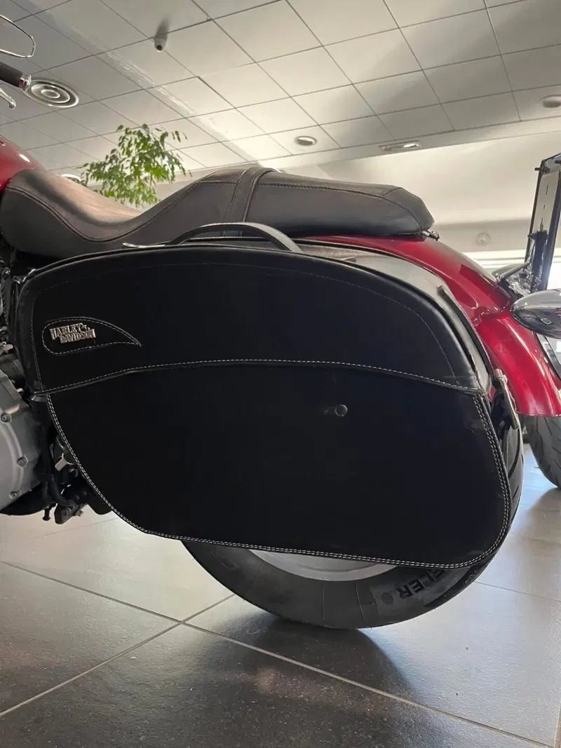 Harley-Davidson 883 Custom (2008 - 12) - XL 883C (3)