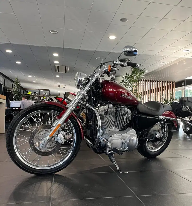 Harley-Davidson 883 Custom (2008 - 12) - XL 883C (4)