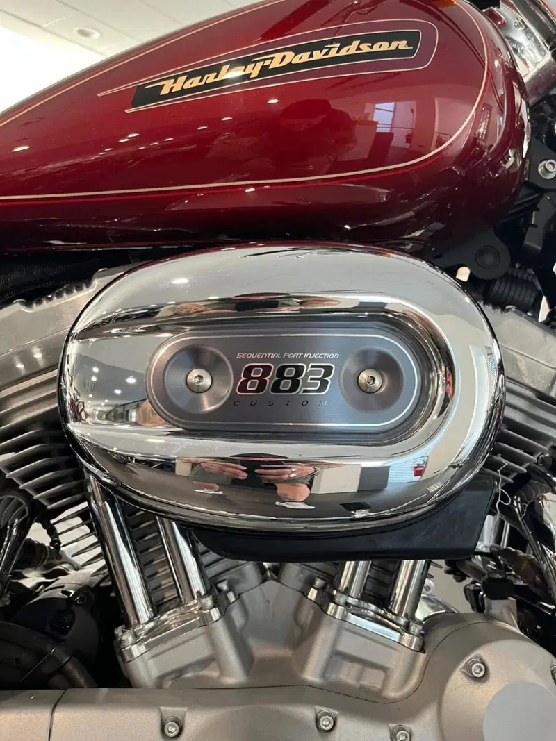 Harley-Davidson 883 Custom (2008 - 12) - XL 883C (7)