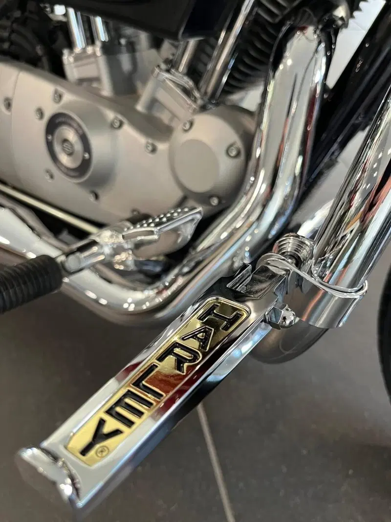 Harley-Davidson 883 Custom (2008 - 12) - XL 883C (8)