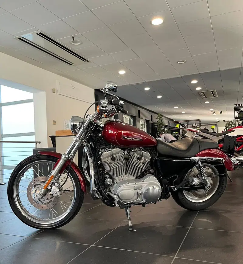 Harley-Davidson 883 Custom (2008 - 12) - XL 883C (9)