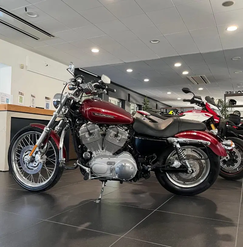 Harley-Davidson 883 Custom (2008 - 12) - XL 883C (11)