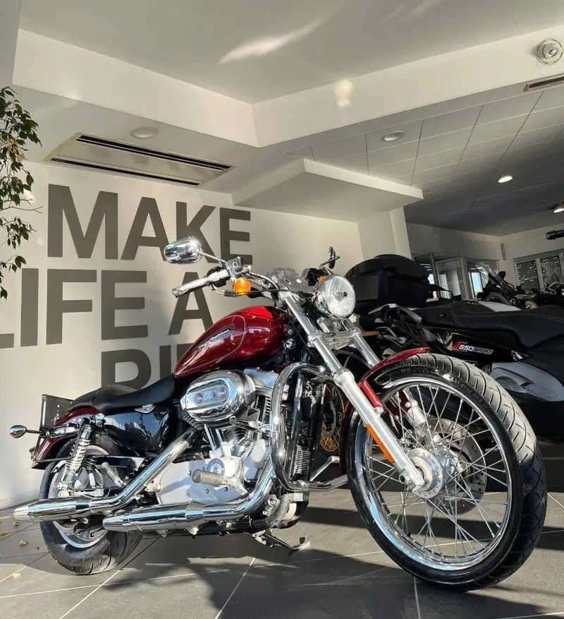 Harley-Davidson 883 Custom (2008 - 12) - XL 883C (13)