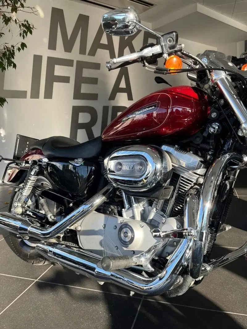 Harley-Davidson 883 Custom (2008 - 12) - XL 883C (14)