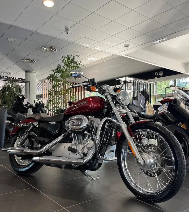 Harley-Davidson 883 Custom (2008 - 12) - XL 883C (16)