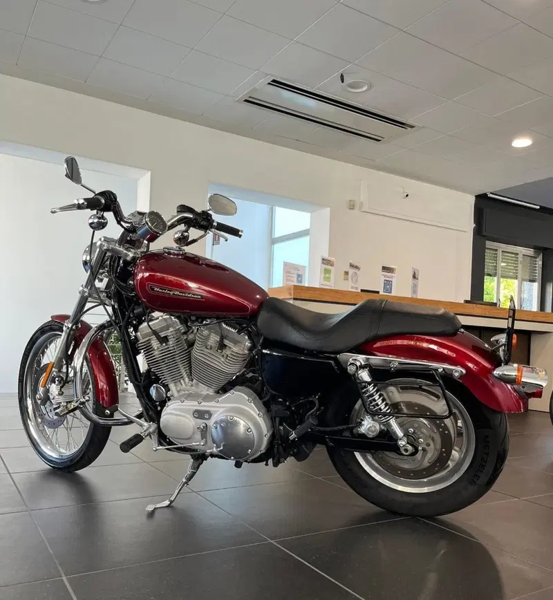 Harley-Davidson 883 Custom (2008 - 12) - XL 883C (17)