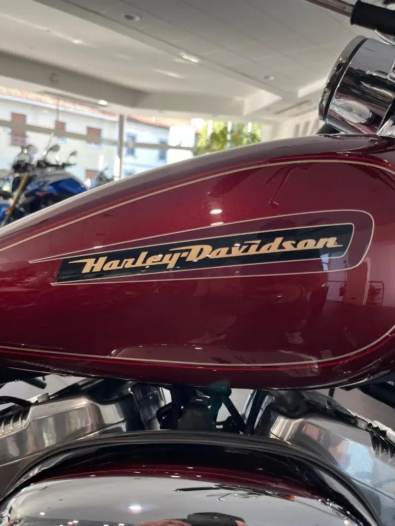 Harley-Davidson 883 Custom (2008 - 12) - XL 883C (18)