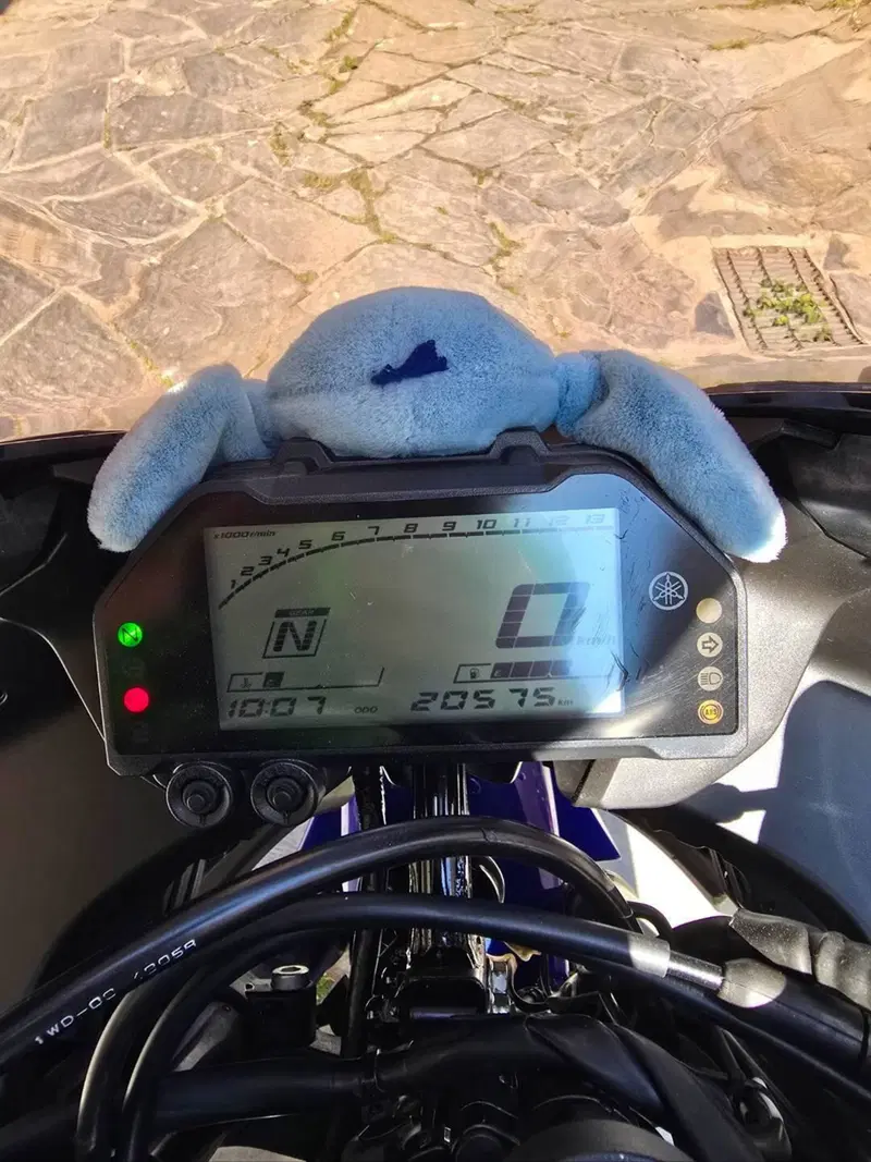 Yamaha YZF R3 (2021 - 24) (6)