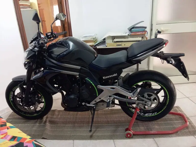 Kawasaki ER-6N (2012 - 13) (2)