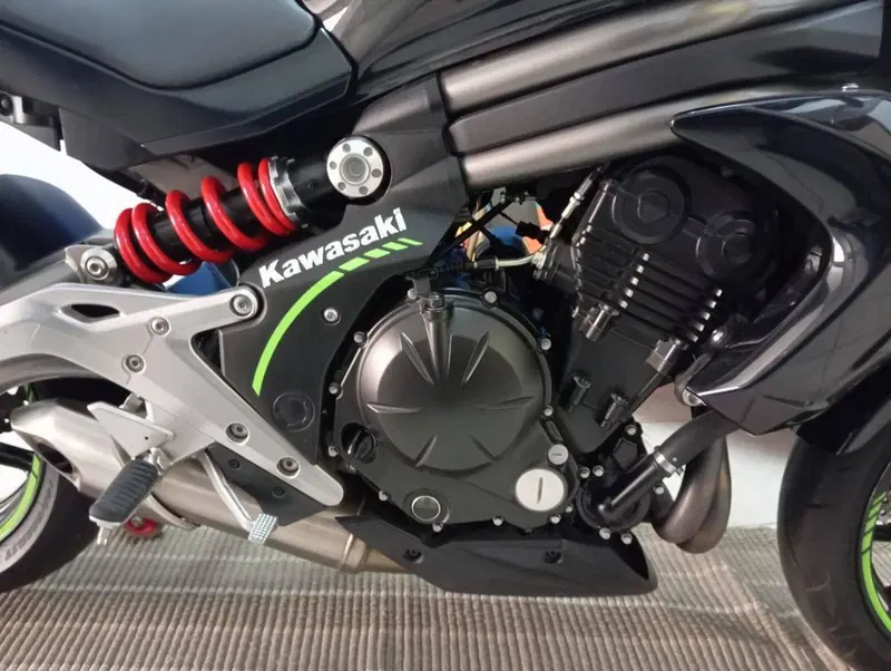 Kawasaki ER-6N (2012 - 13) (4)