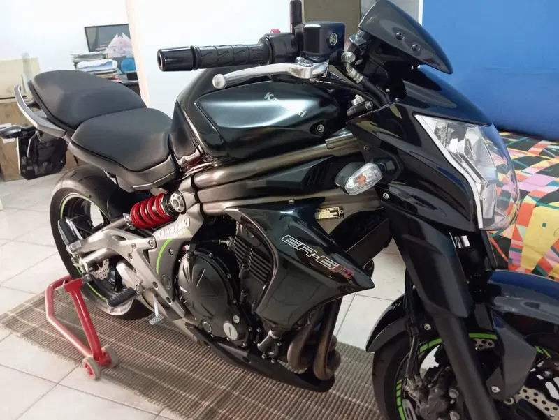 Kawasaki ER-6N (2012 - 13) (5)