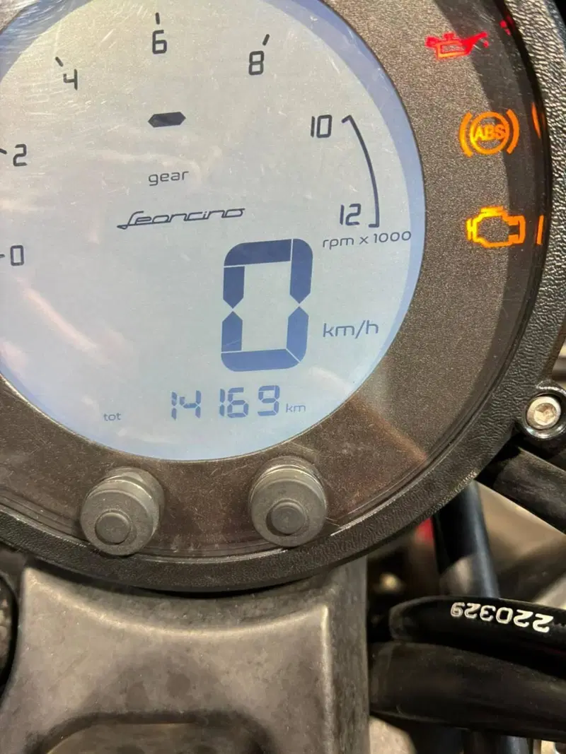 Benelli Leoncino 500 (2021 - 25) (7)