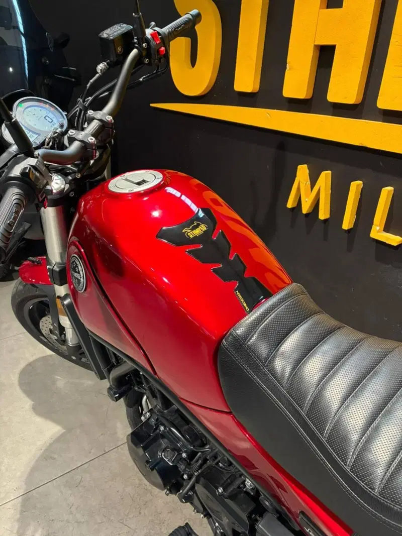 Benelli Leoncino 500 (2021 - 25) (6)